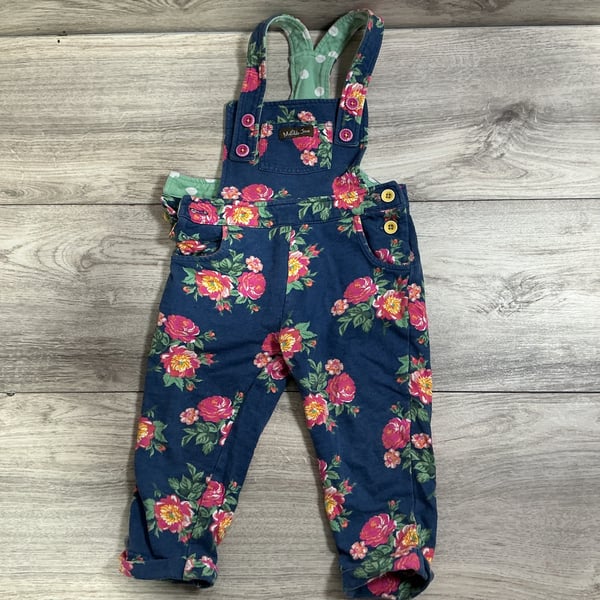 Girls · 2T · Overalls