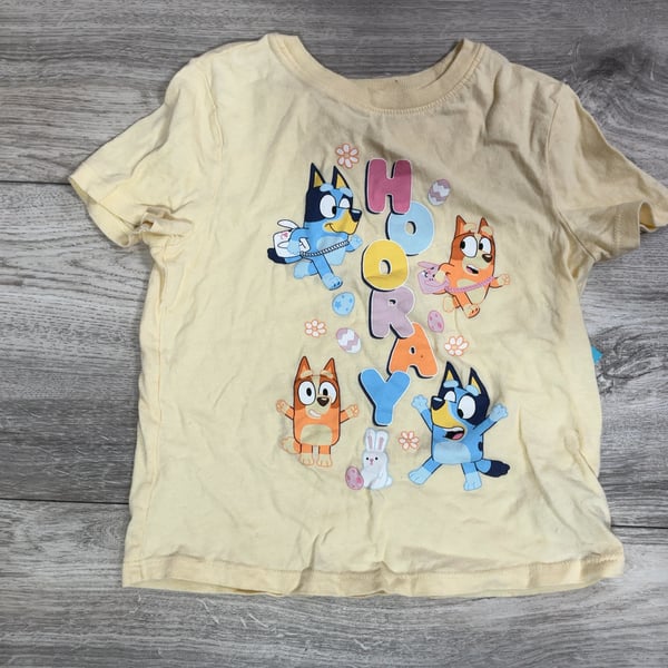 Girls · 5T · Shirts