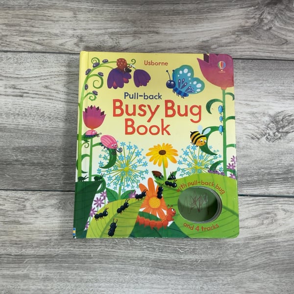 Pull - Back Busy Bug Book