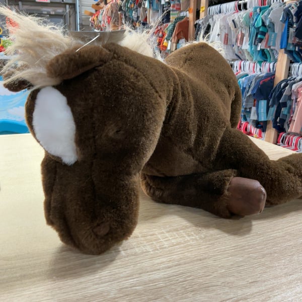Dark Brown Horse