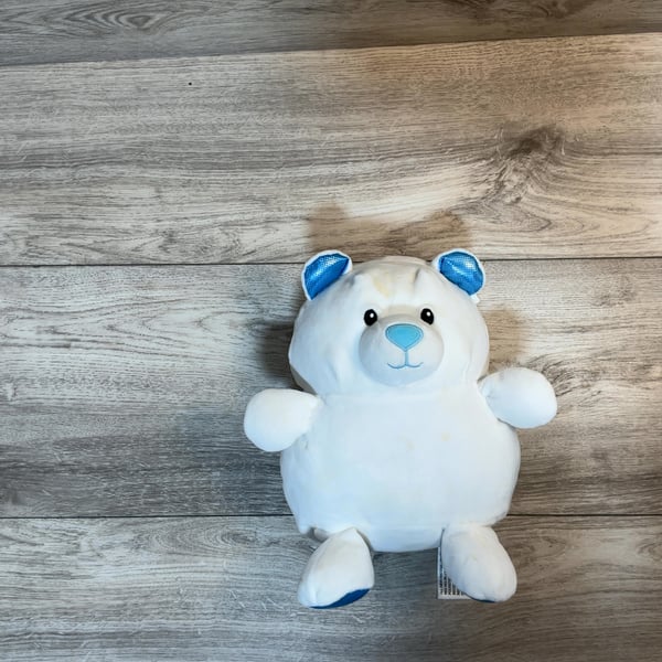 Bear Plush · Play condition
