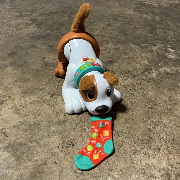 Dog Toy