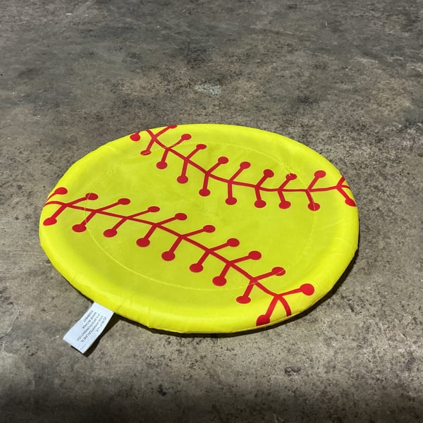 Frisbee Pool Toy