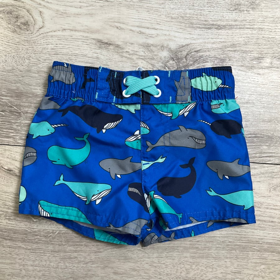 BOYS - 6/9 Month - Swim Shorts