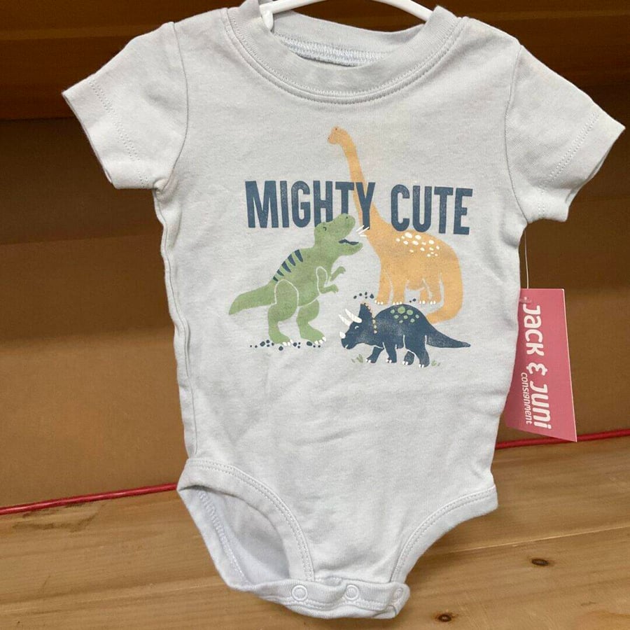 BOYS - 6 Month - Onesie - Play Clothes Condition