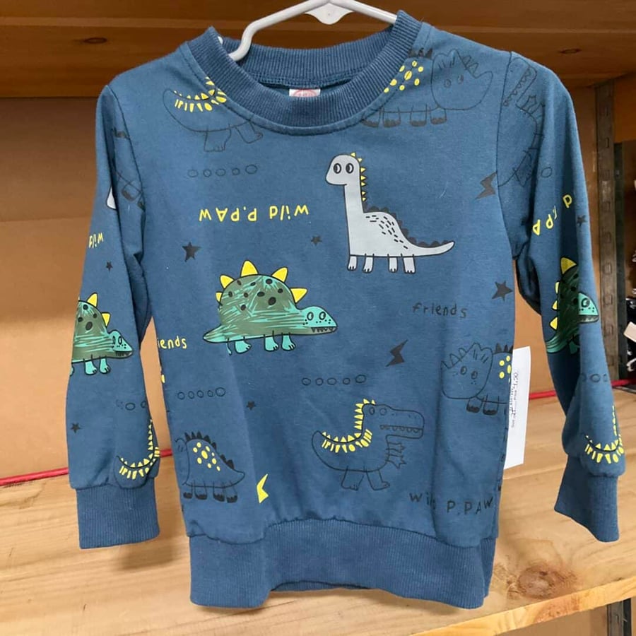 BOYS - 2T - Pullover