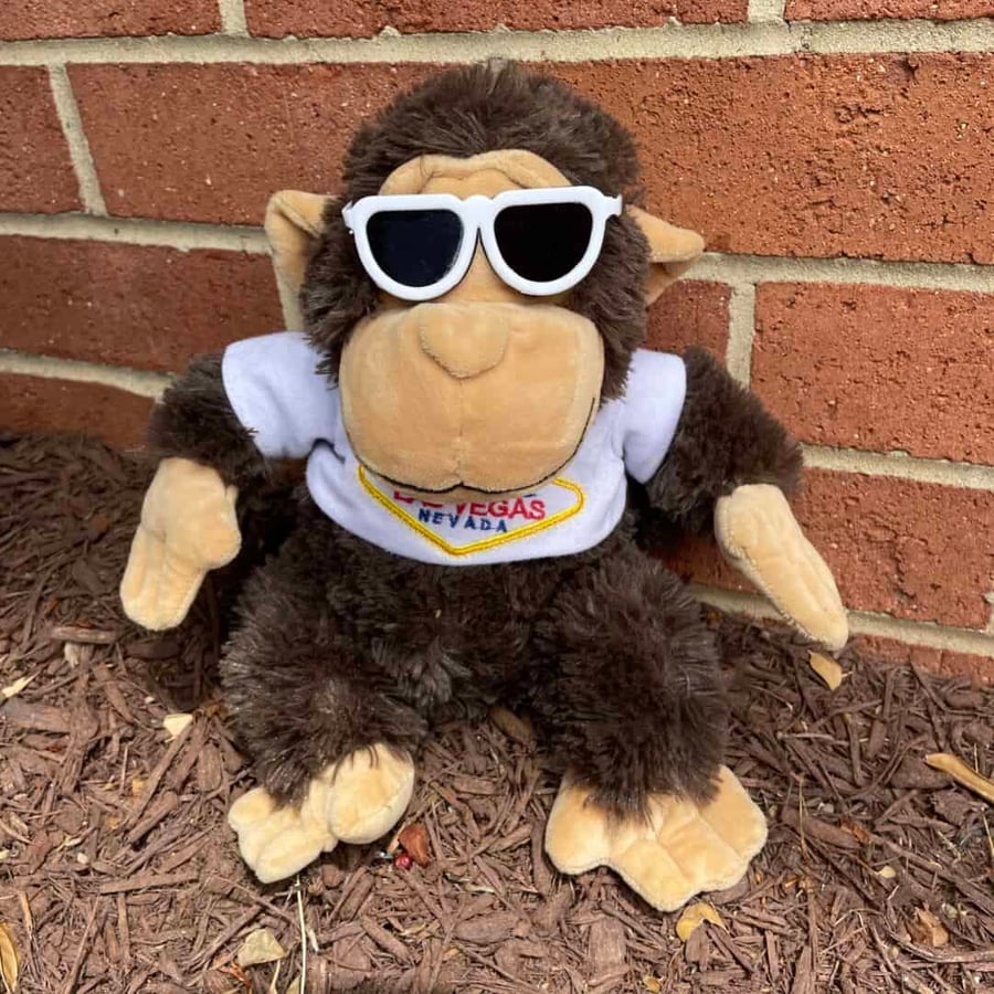 Cool Mr. Monkey