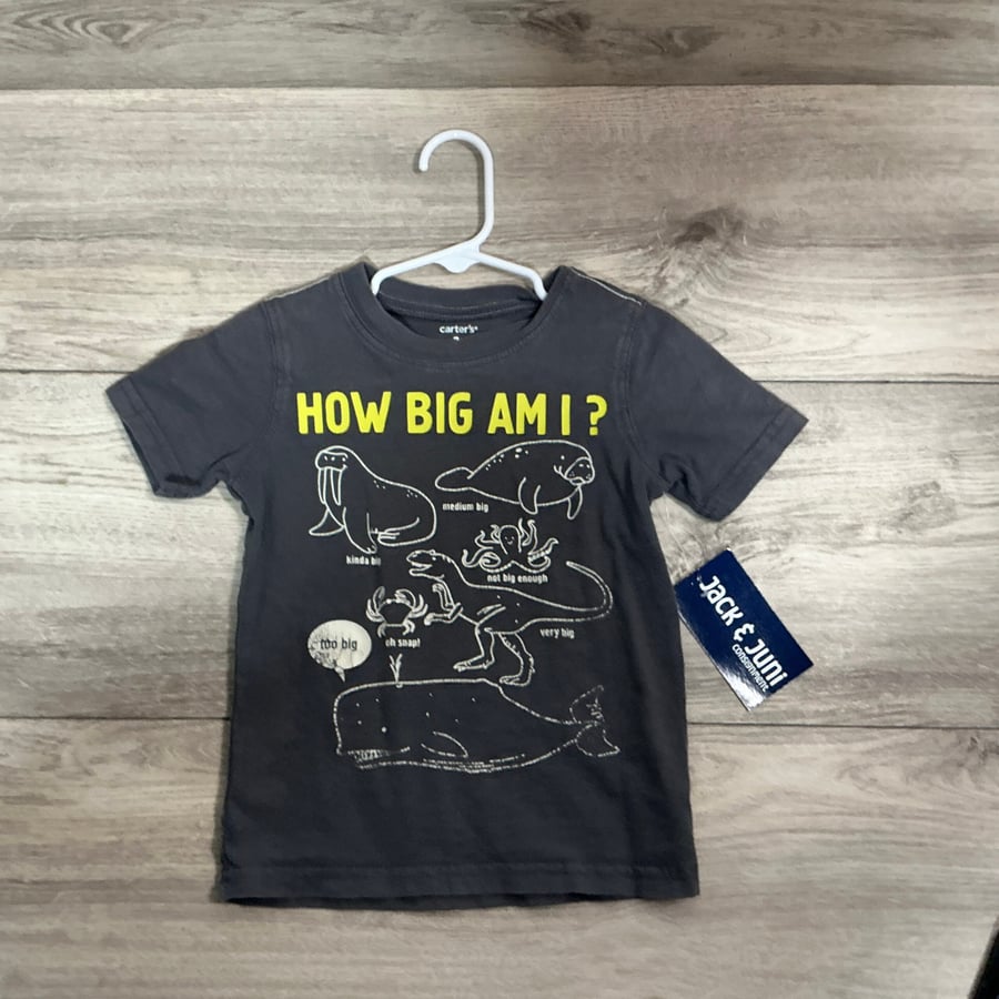 BOYS - 3T - Shirt