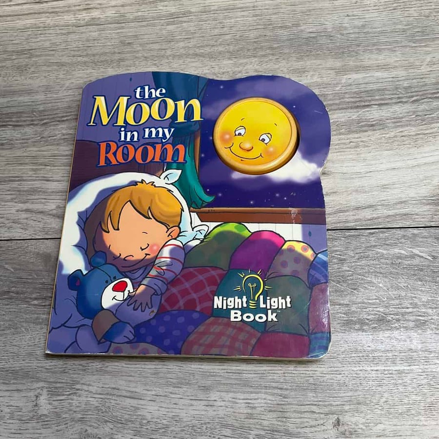 The Moon In My Room Book