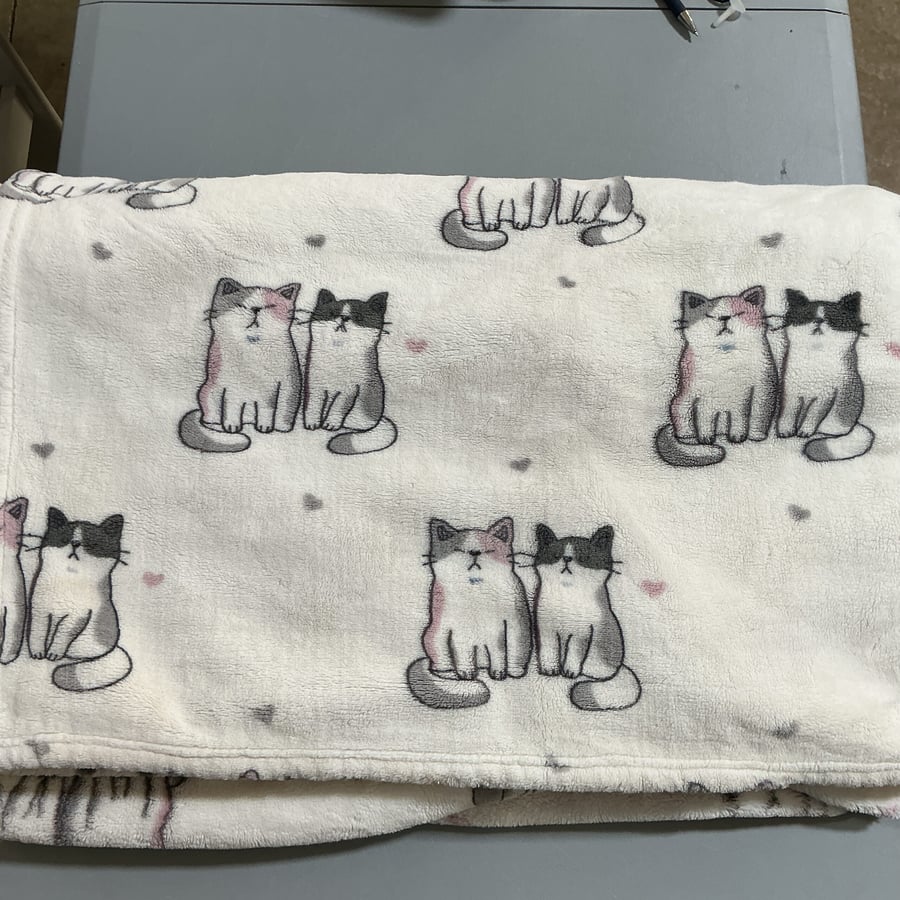 Cat Blanket - Play Condition