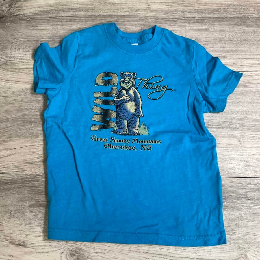 BOYS - Size 5/6 - Shirt