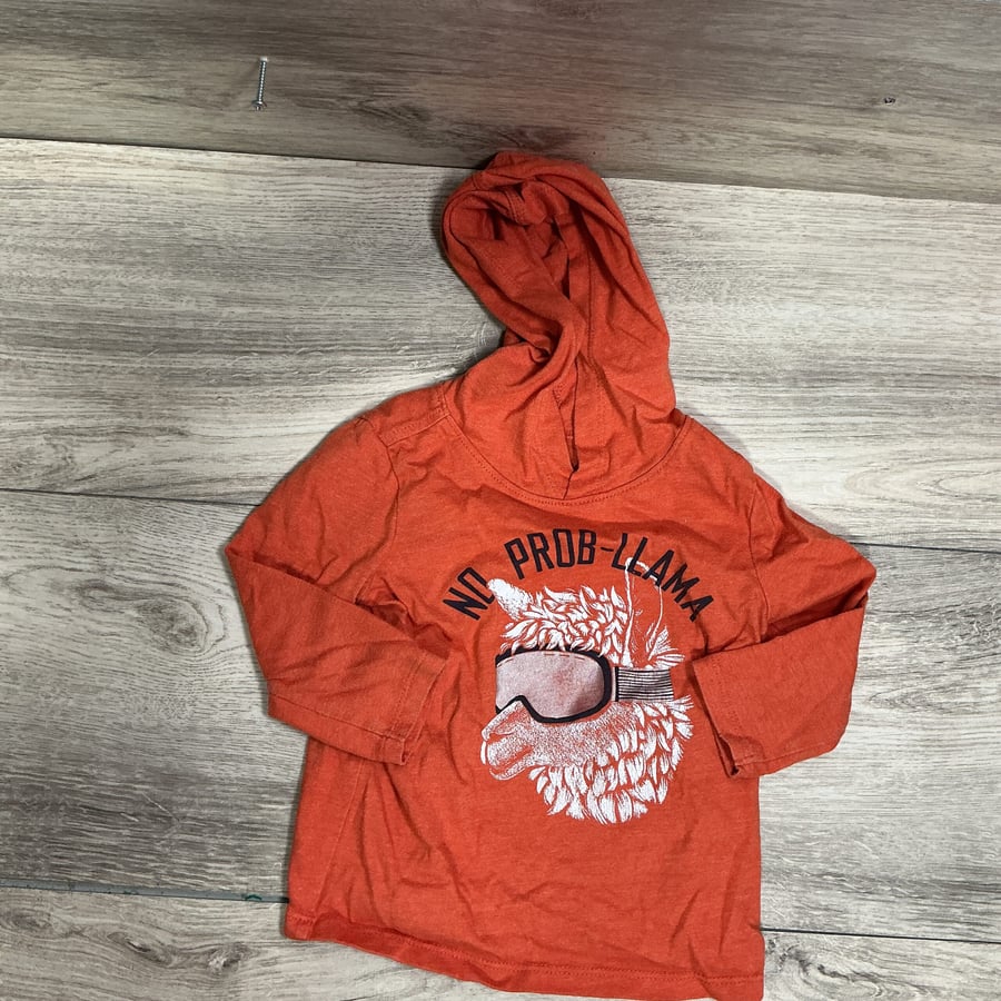 BOYS - 18/24 Month - Pullover