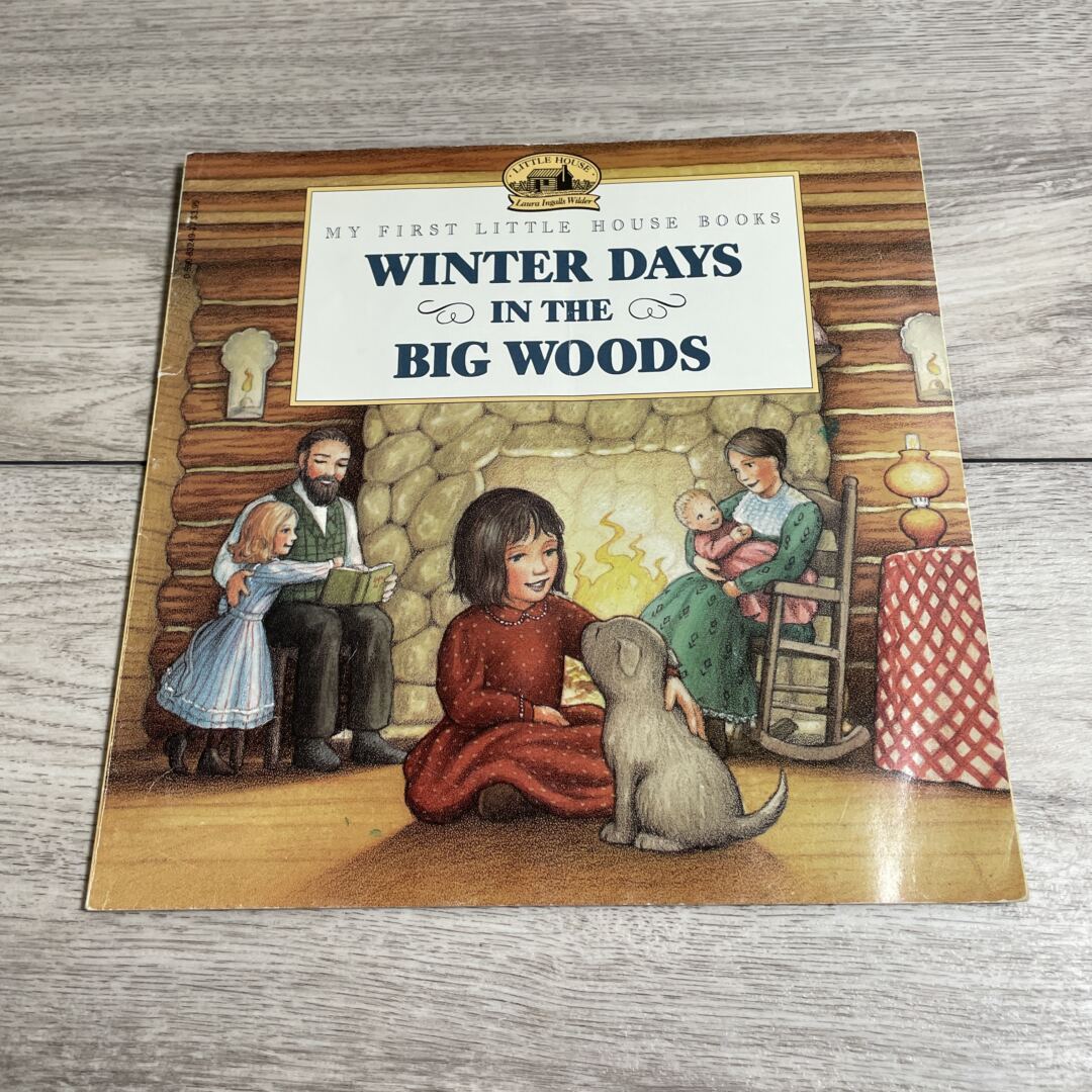 Winter Days in the Big Woods