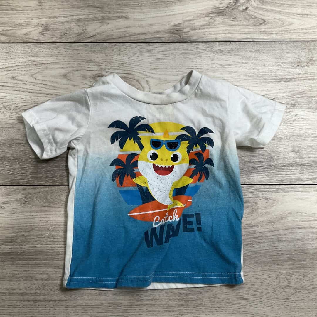 BOYS - 18 Month - Shirt - Play Clothes Condition