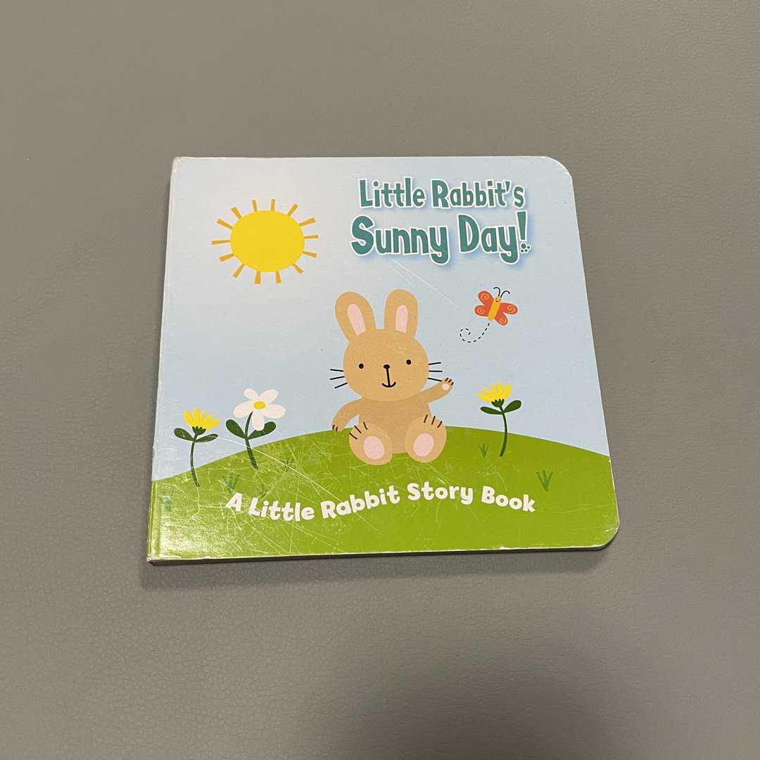 Little Rabbit's Sunny Day! A Little Rabbit Story
