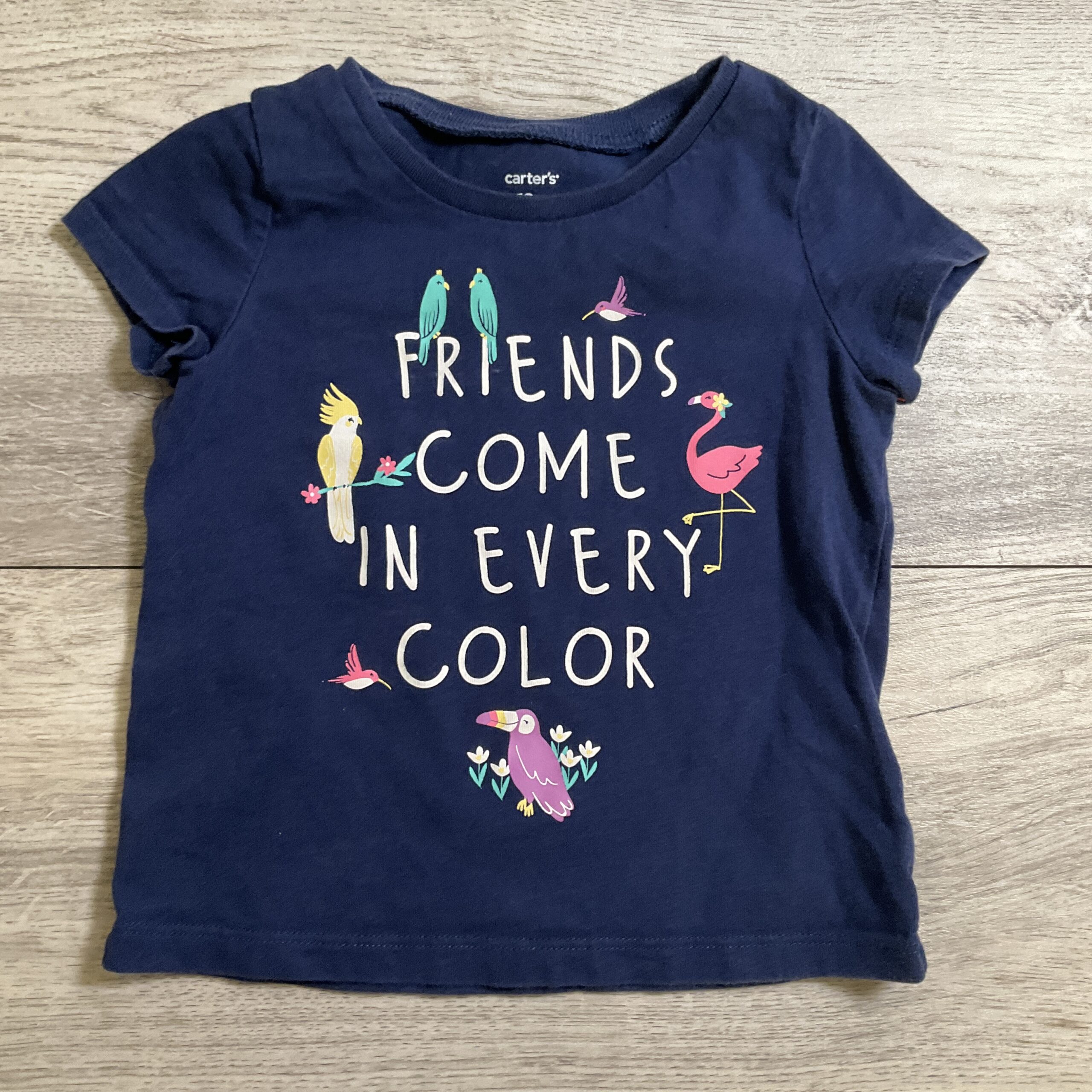 GIRLS - 18 Month - Shirt