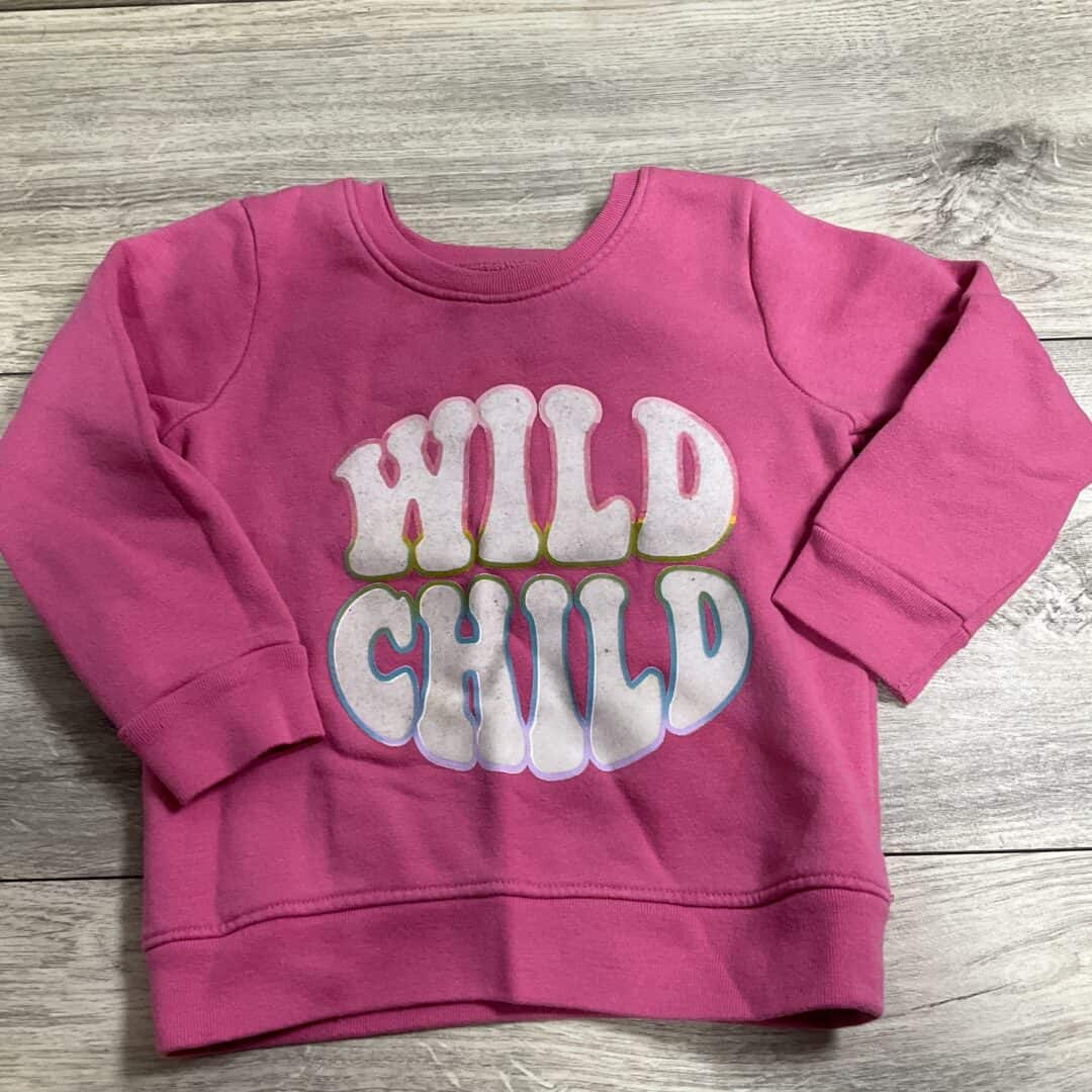 GIRLS - 3T - Pullover - Play Clothes Condition