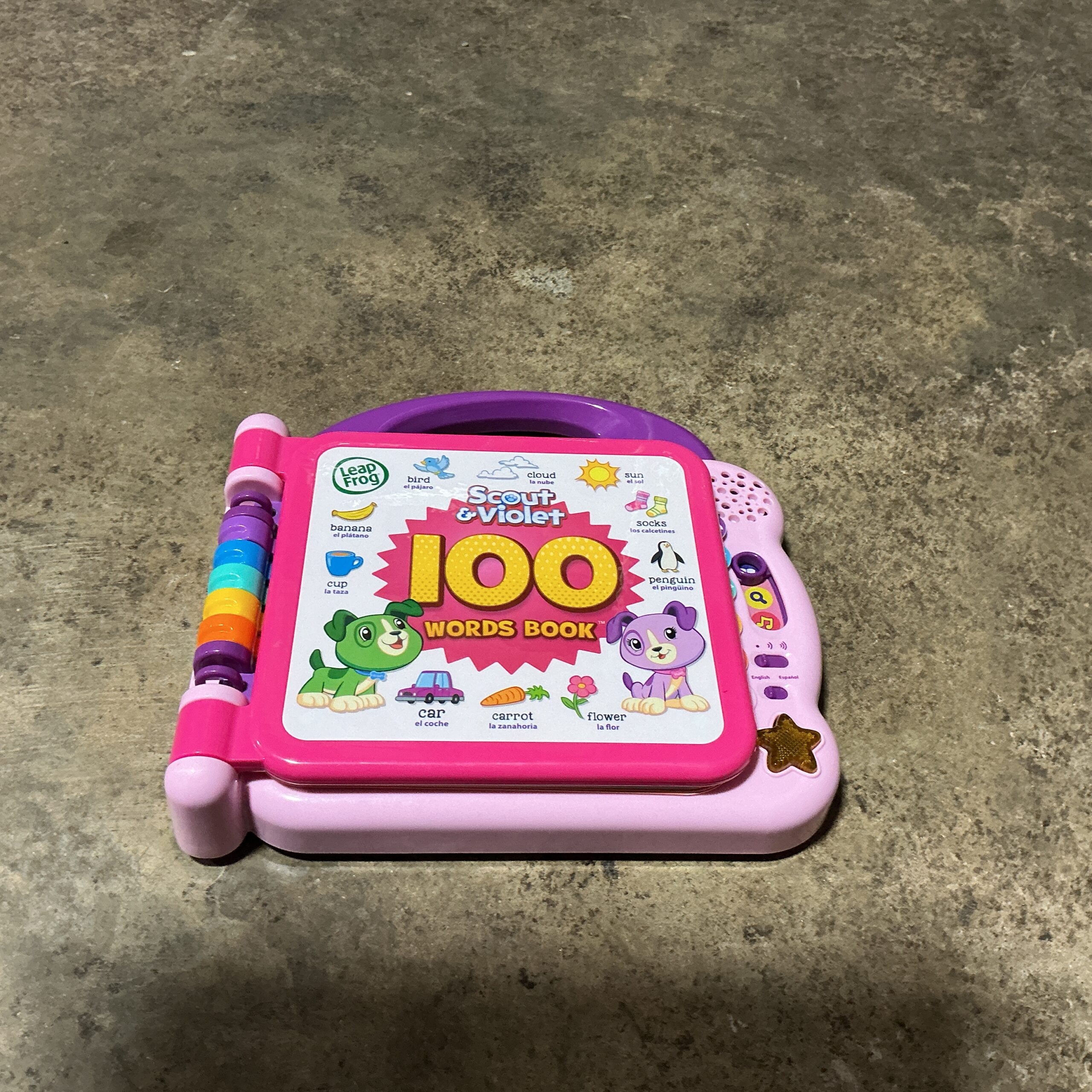 Leap Frog Learning Toy