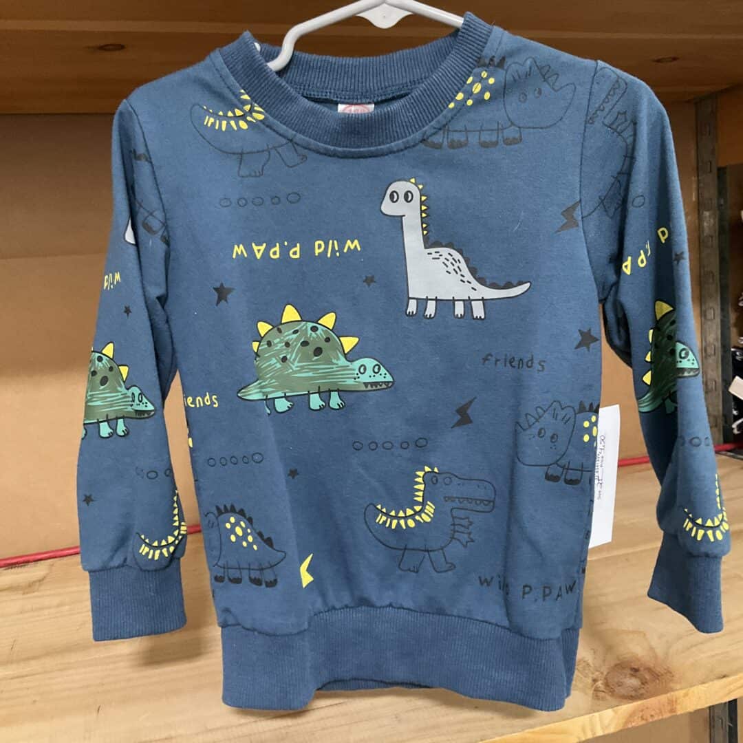 BOYS - 2T - Pullover