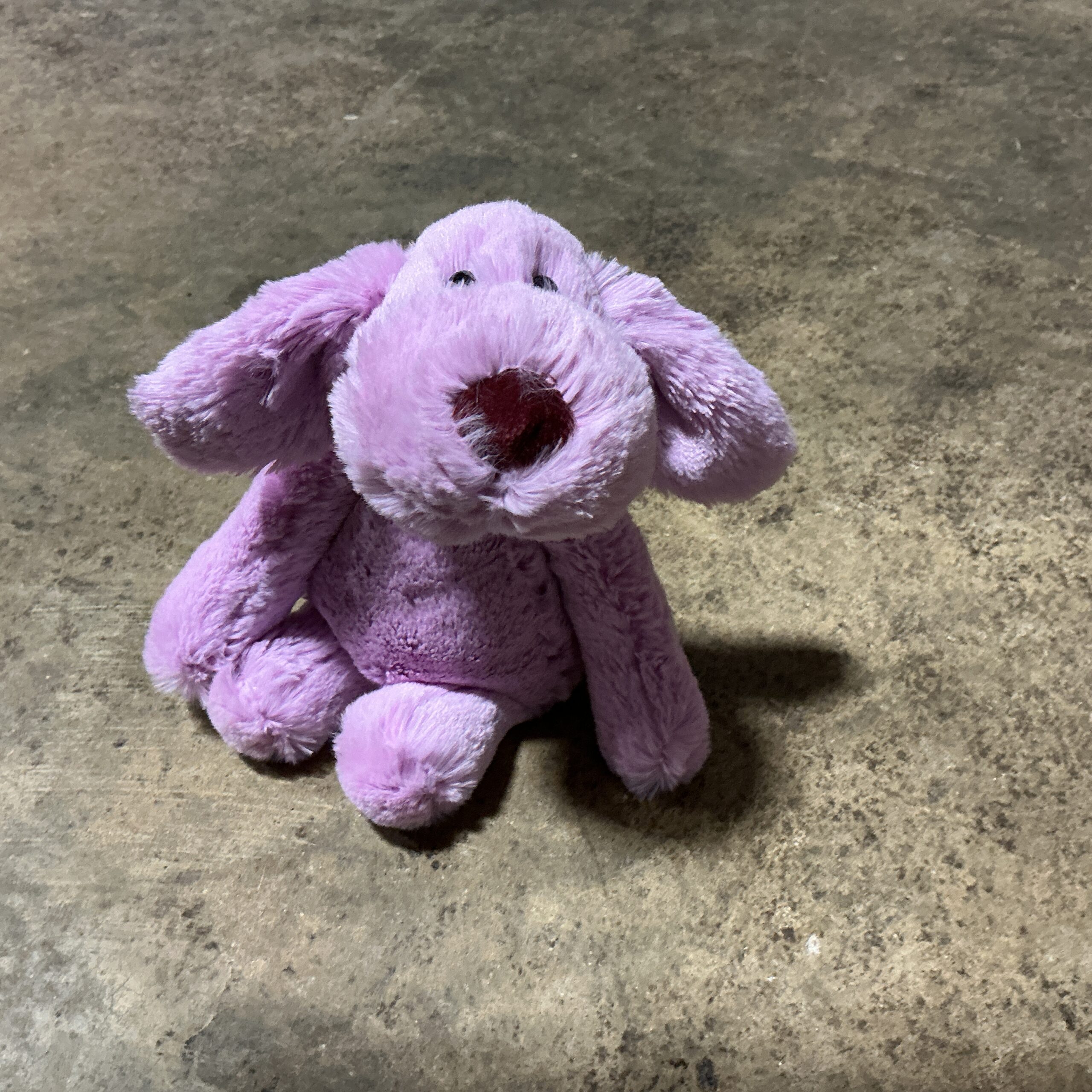 Stuffed Animal Dog Toy