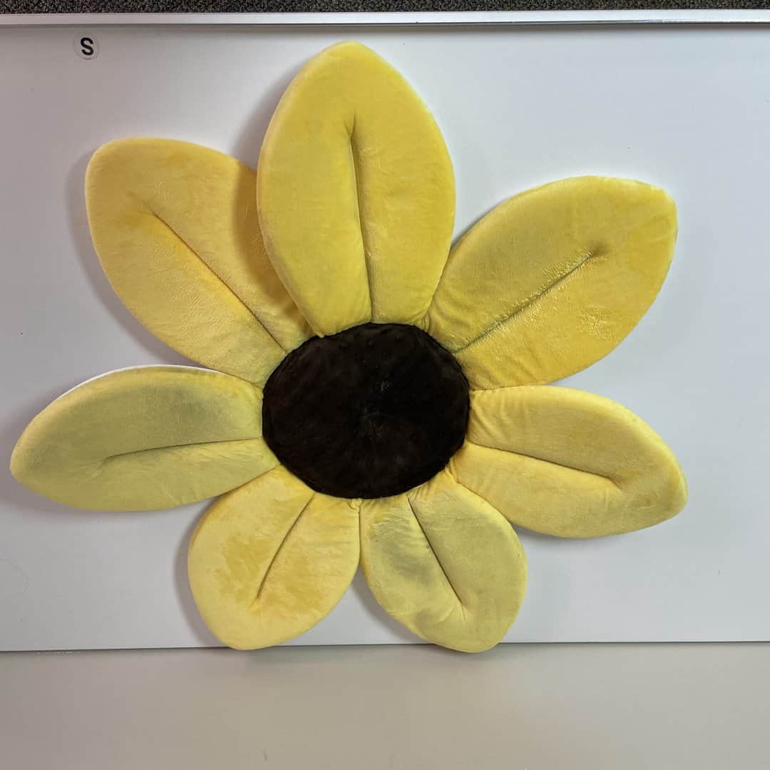 Blooming Bath Baby Bath Seat (0-6 Months) - needs a wash