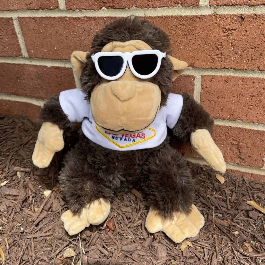 Cool Mr. Monkey