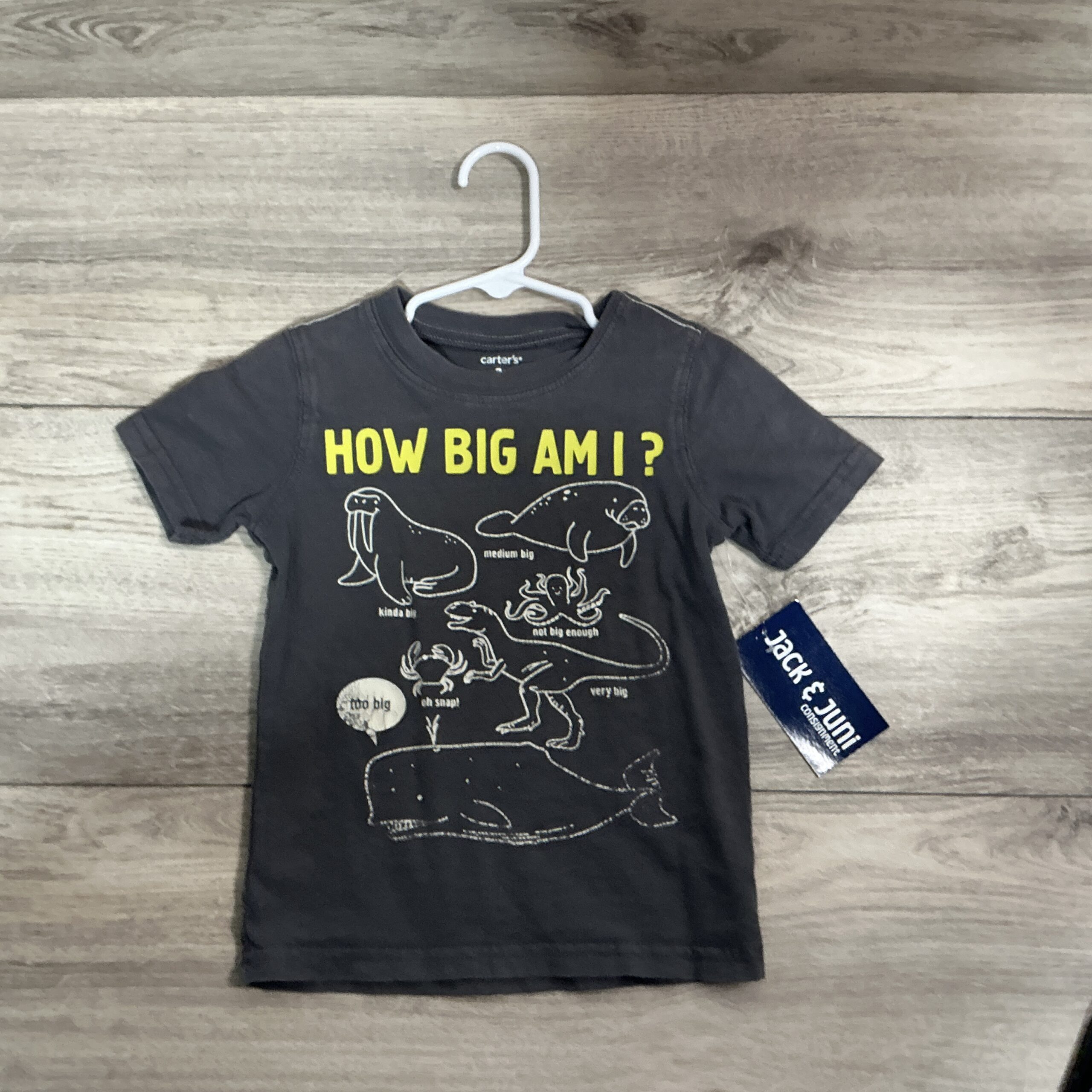 BOYS - 3T - Shirt