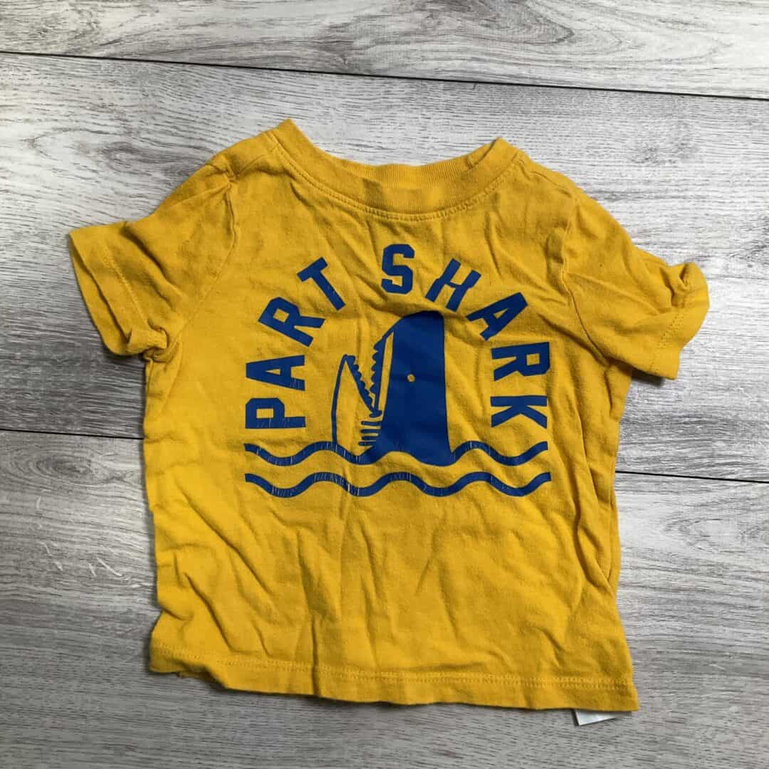 BOYS - 12/18 Month - Shirt - Play Clothes Condition