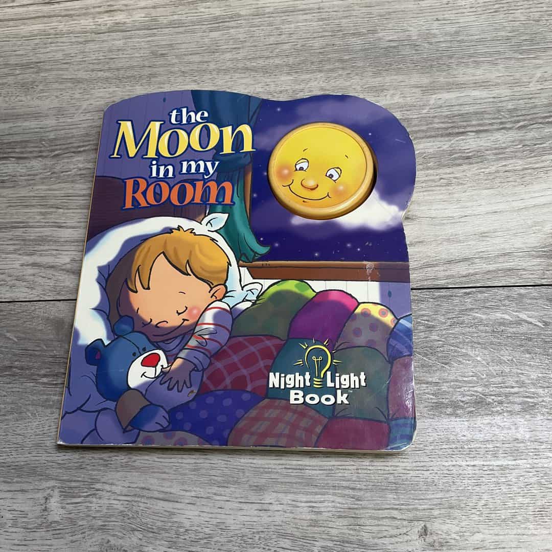 The Moon In My Room Book