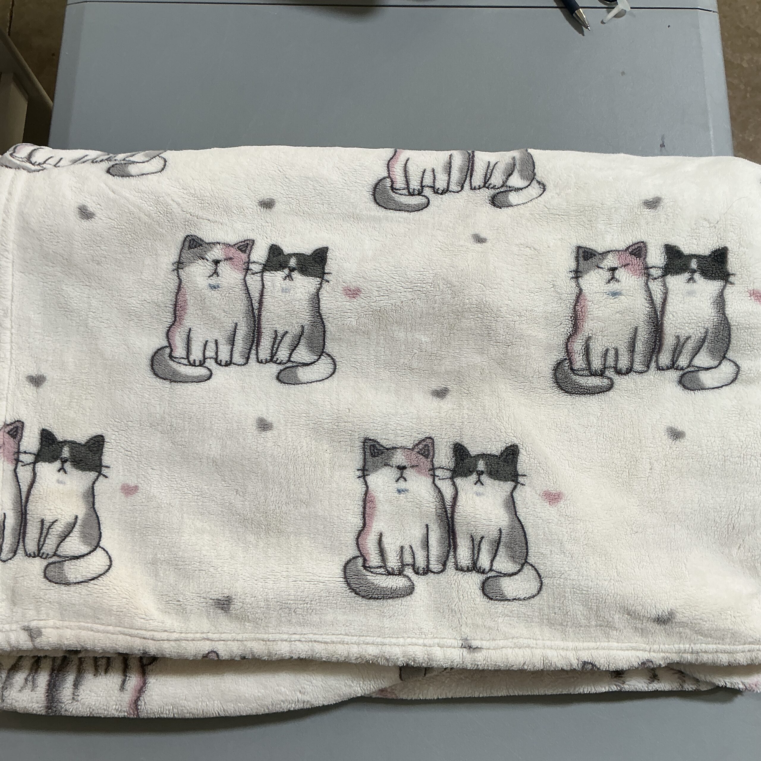 Cat Blanket - Play Condition