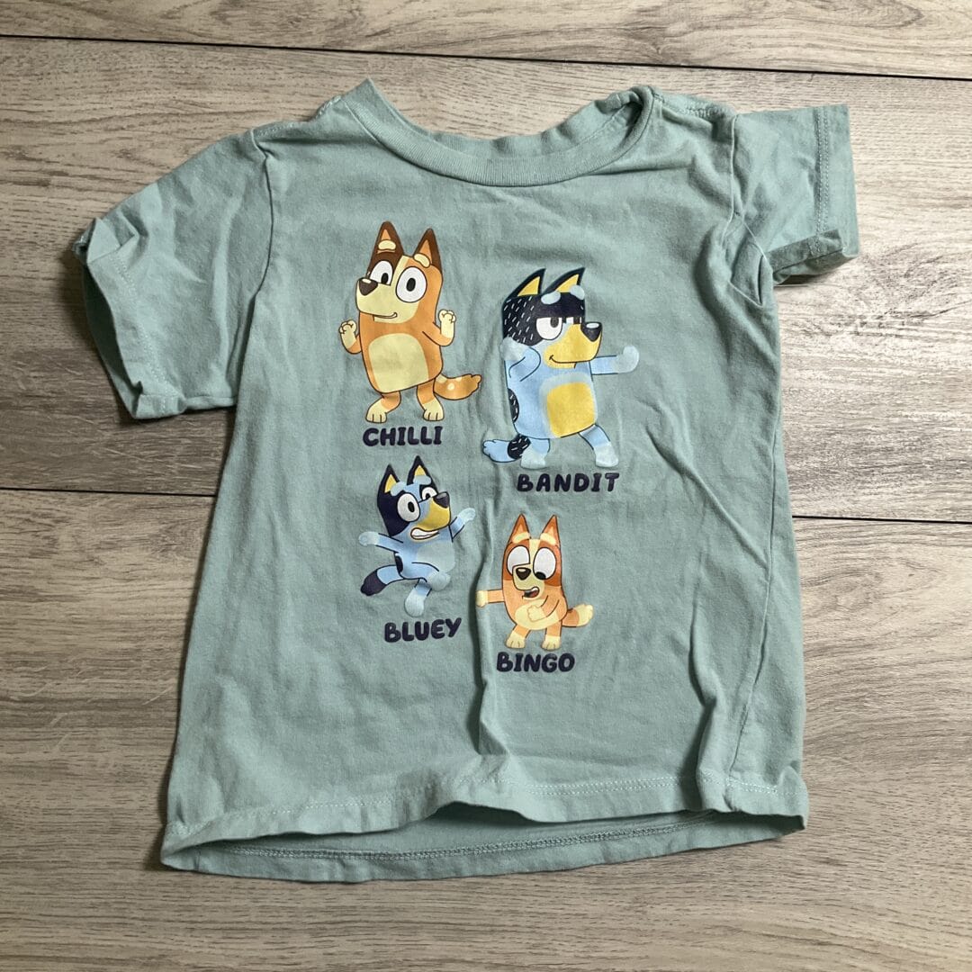 BOYS - 3T - Shirt