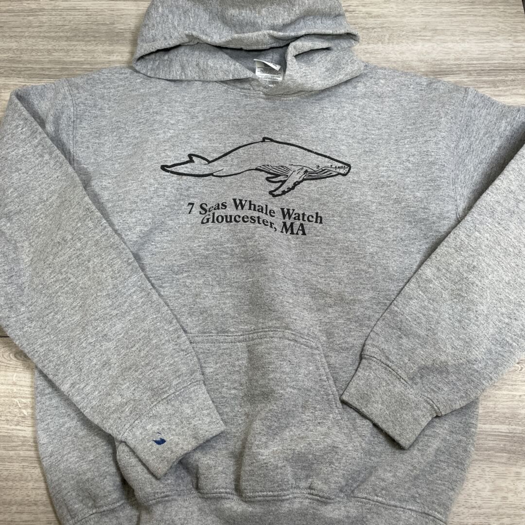 BOYS - Size 10/12 - Hoodie