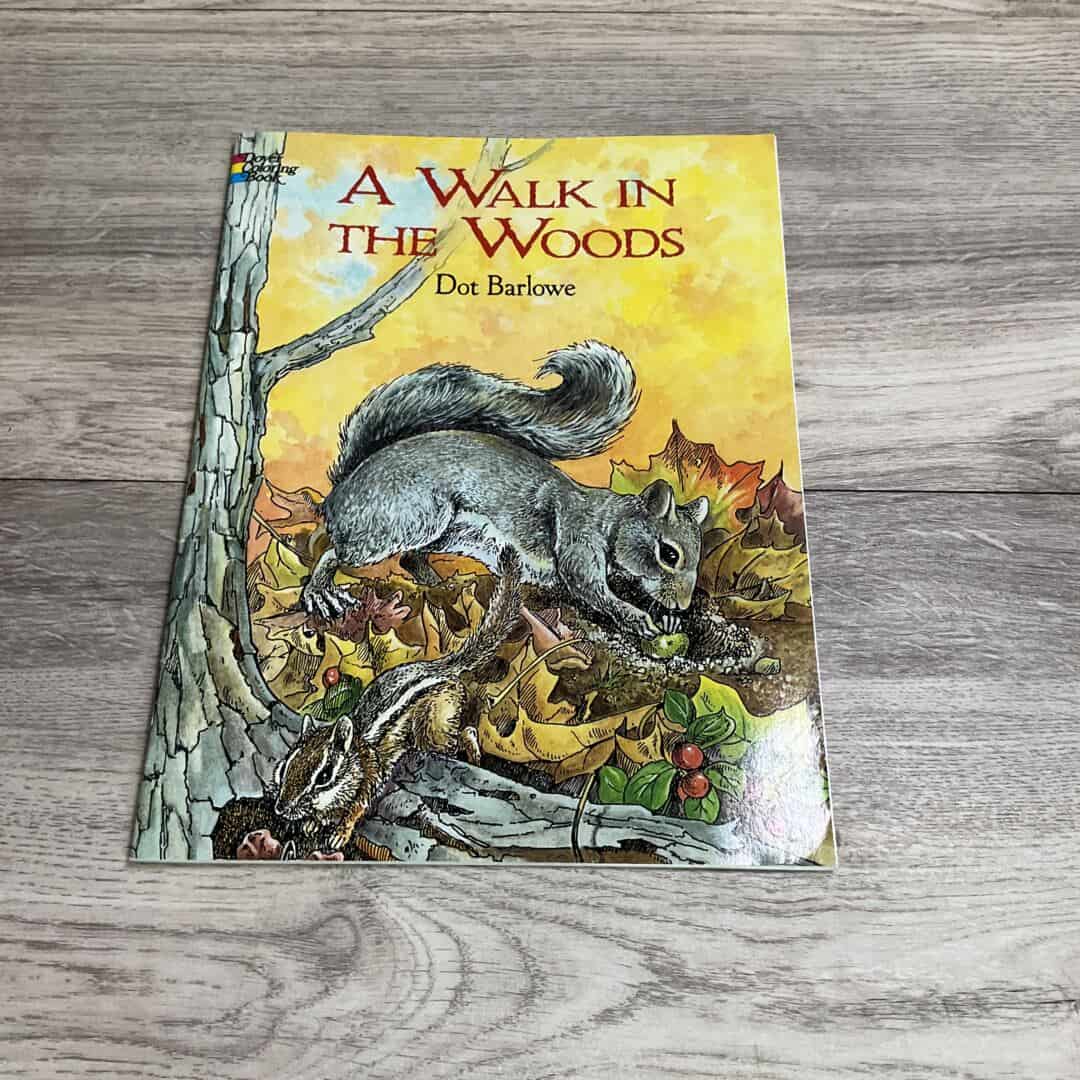 A Walk In The Woods Book