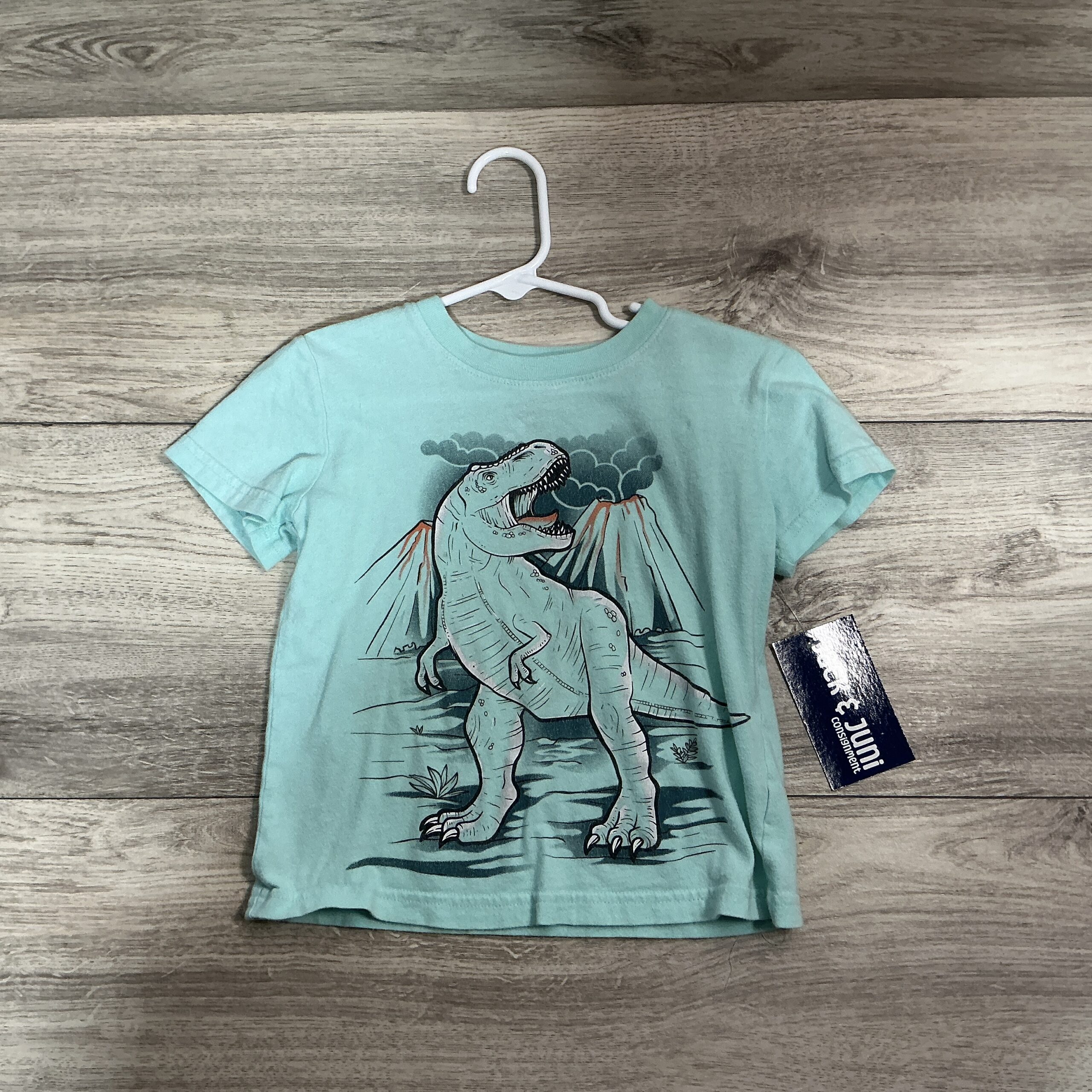 BOYS - 3T - Shirt