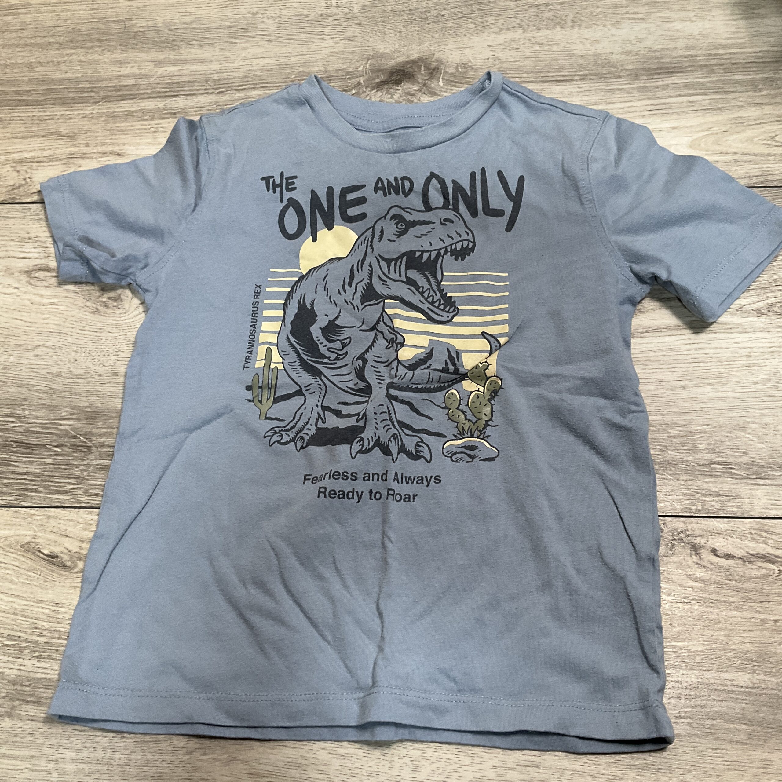 BOYS - Size 6 - Shirt