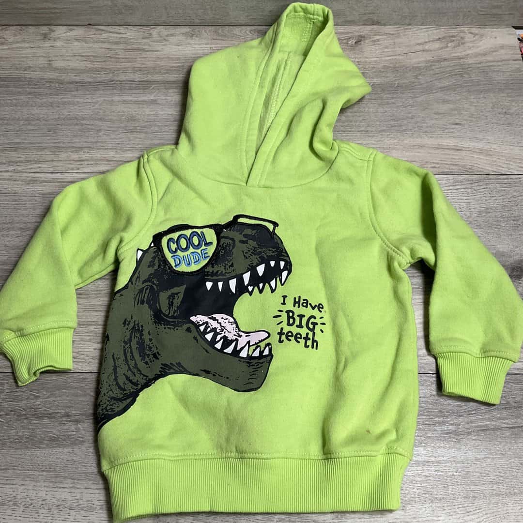BOYS - 2T - Hoodie - Play Clothes Condition