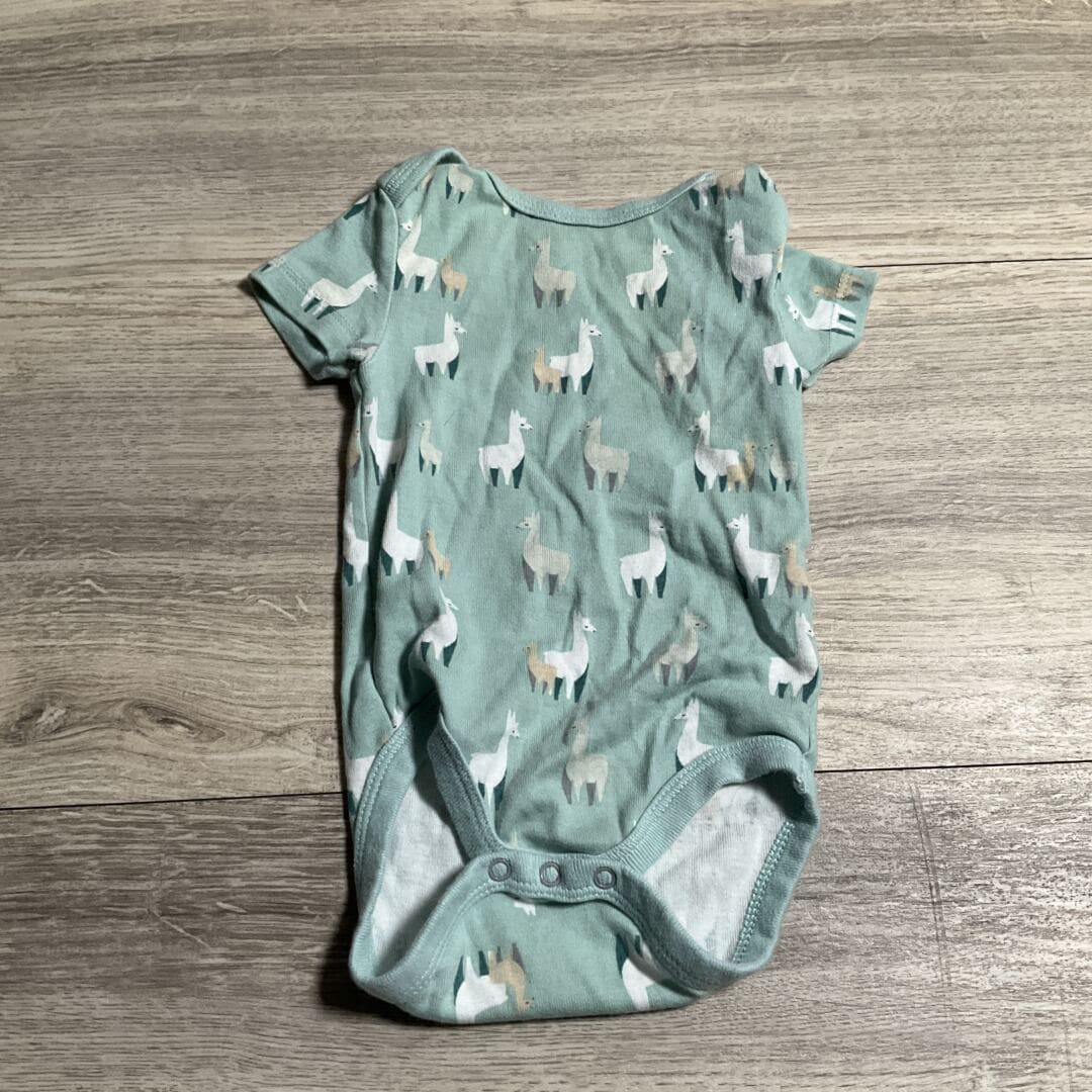 BOYS - 3/6 Months - Onesie